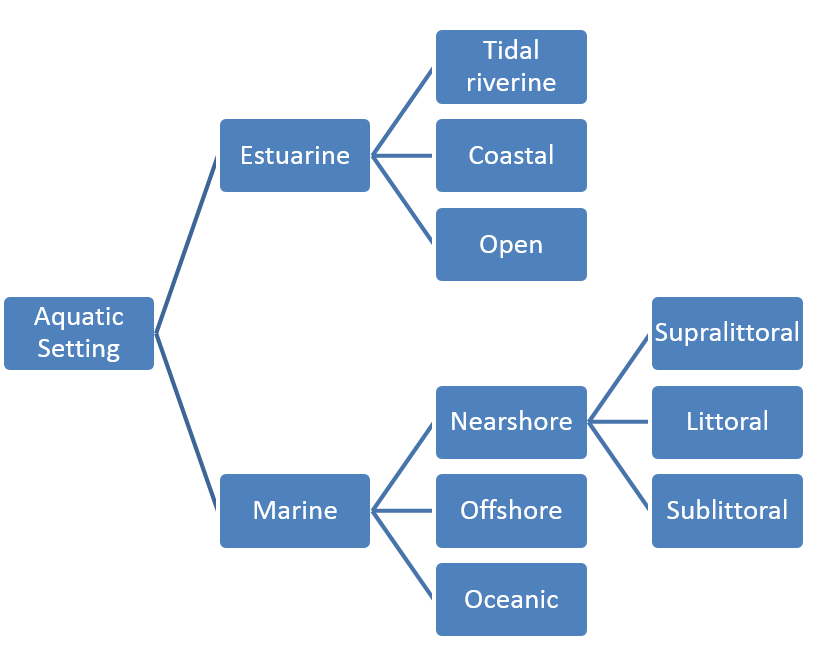 aquatic setting tree diagram