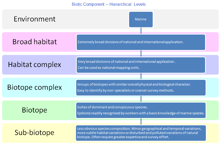 Biotic component hierarchical levels