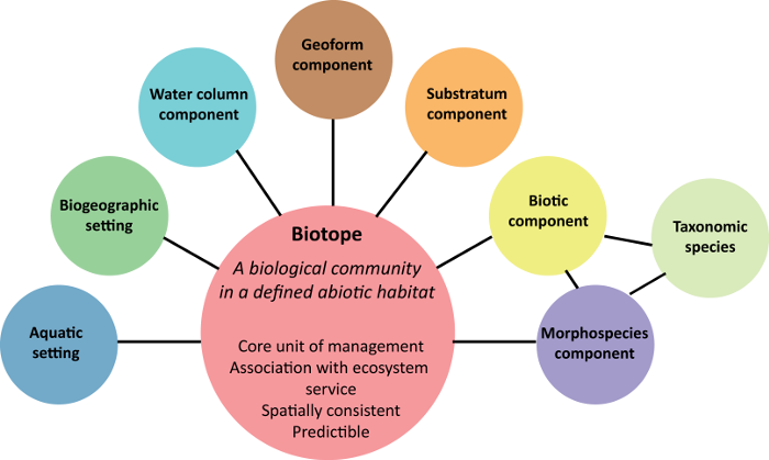 Biotope components