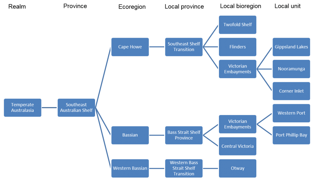 biogeographic setting tree diagram, Victoria, Australia
