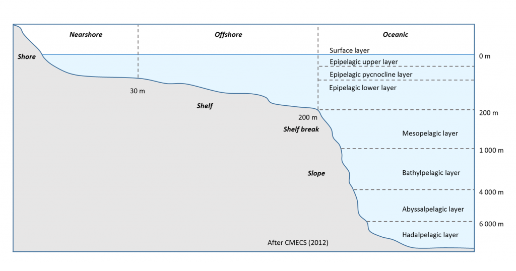 water column layers diagram
