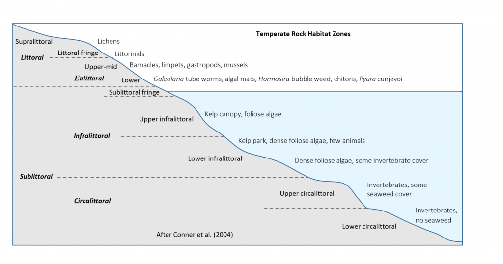Temperate rock habitat zones