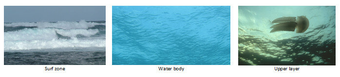 Water Column Component Examples